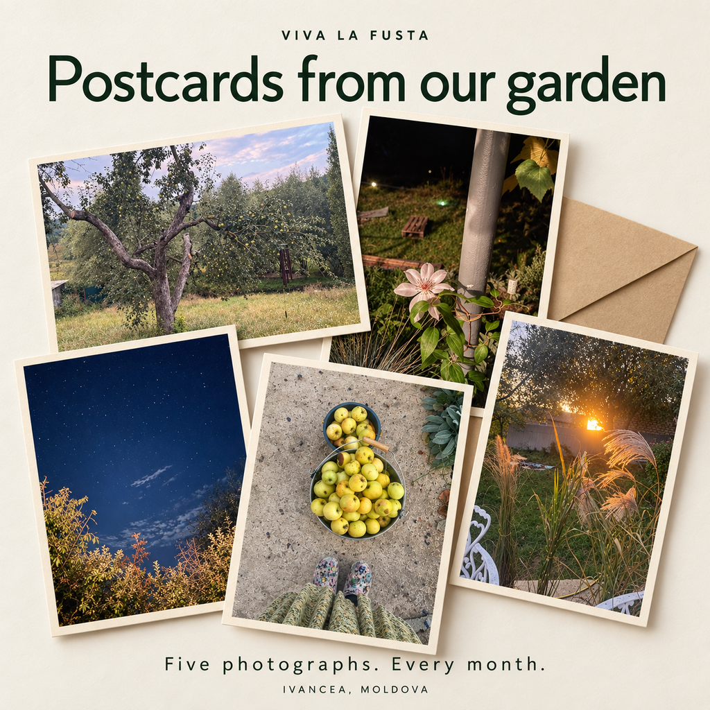 Illustrative mockup of five garden photo postcards from Viva La Fusta, with an envelope; monthly selections vary.